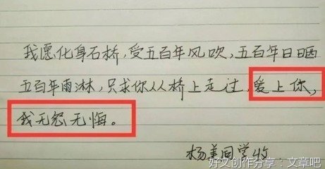 我的情书