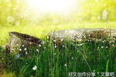 难得糊涂