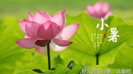 小暑