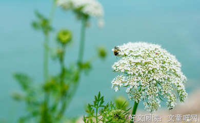 我真的想带她出去走走