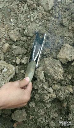 选择沉默