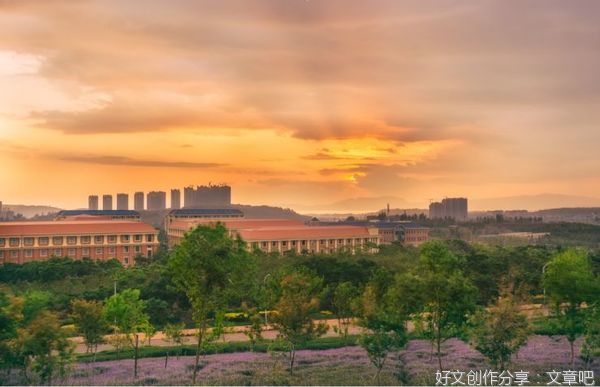 大学怎么过？老生和新生注意啦，这些组织带你飞！