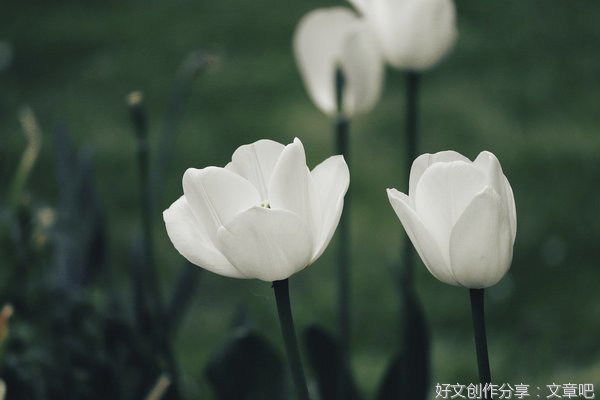 中年女人在想什么