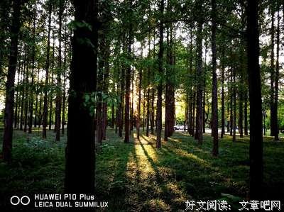碧水长相伴，无人不仰望