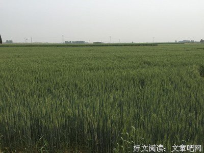 回到老家