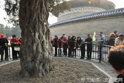 一种捧在手里怕化了的感觉