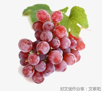 葡萄