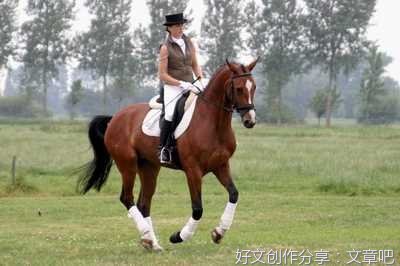 推销员巧克尔.丹