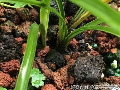倒过来试一下