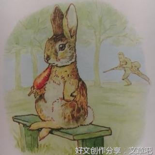 兔子的故事