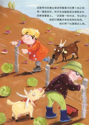 羊的故事