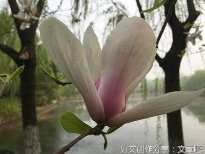 一生干好一件事