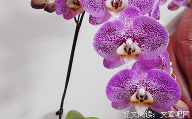 那你不爱他吗？