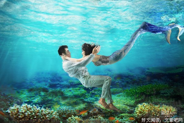 命运，大概就是这样吧