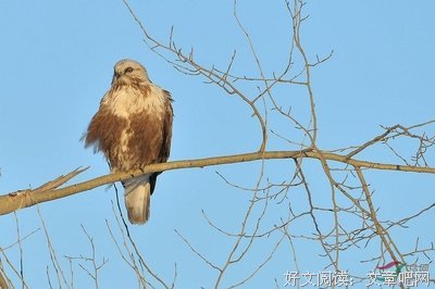 东瞅瞅，西望望