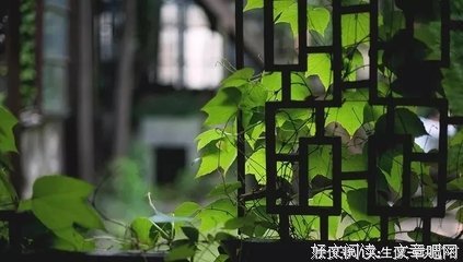 何不开开心心每一天
