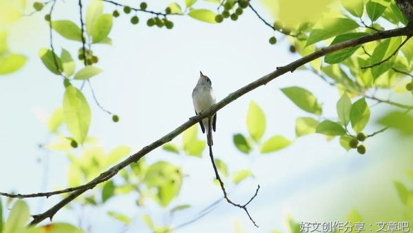 一年一清明，一岁一追思