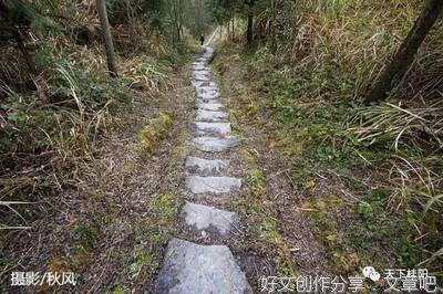 那些年遇到的那些事