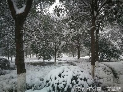 夜雪