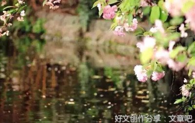 谢新恩·冉冉秋光留不住
