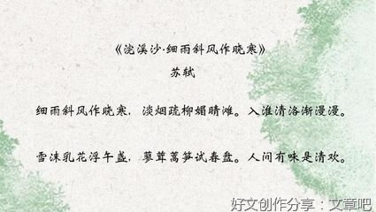 苏轼《浣溪沙·细雨斜风作晓寒》