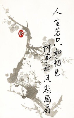 人生若只如初见