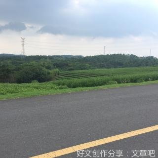 有一段青春，不再提起