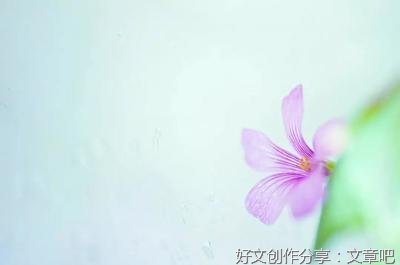 行走在漫漫红尘路上