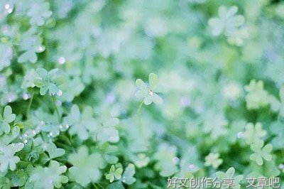 在我记忆的角落