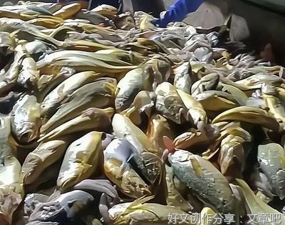 人的生长过程是无法逾越的