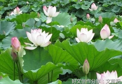 无尽漫漫红尘路上