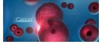 我们一直在寻找