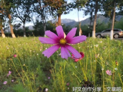 人生很难, 心态放宽!