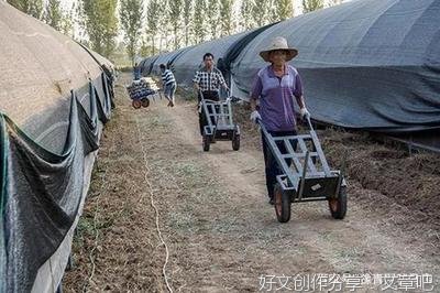走进李乡——开启调研路
