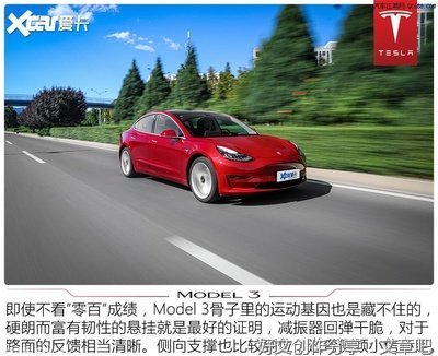 陈荣显师兄——领异标新二月花