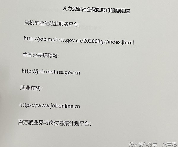 燃梦小队调研求职者调动流程