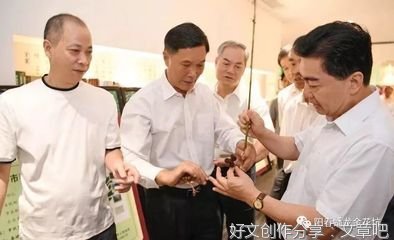 “岭”先行春砂仁博物馆之行：深入了解春砂仁种植历史