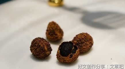参观春砂仁博物馆，了解春砂仁历史