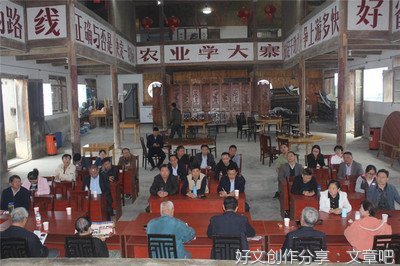 “岭先行”实践队线上工作