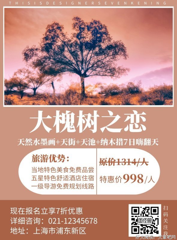 国槐、双季槐、高卢丁米槐与雷茂端