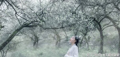 想念人民的好医生贾生娥……