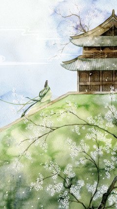 理解人生，心亦坦然