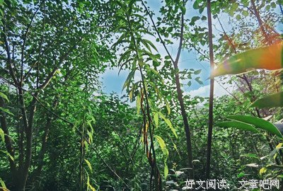 命运不会善待任何人