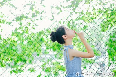 爱是什么