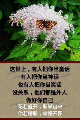 品了多少世间情