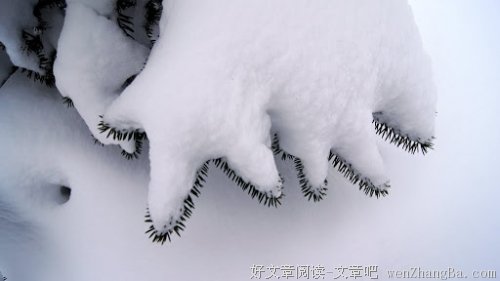 《我不懂什么是爱情？》