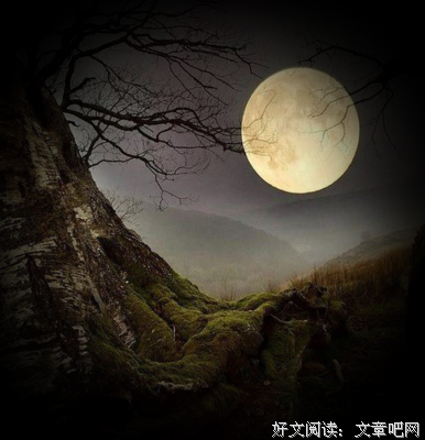 心中的月亮