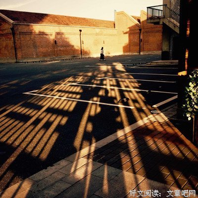 远方的你