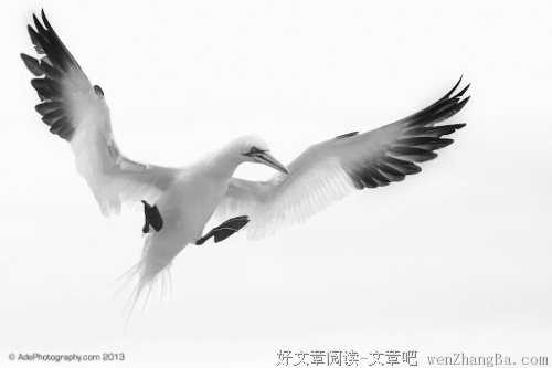 你真的会看盘？