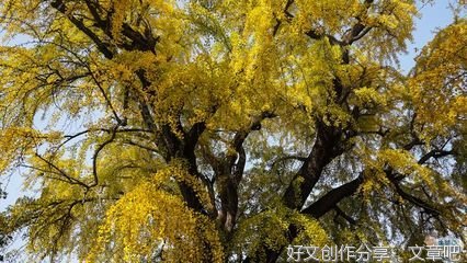 白石塔1遥望报恩塔2赋